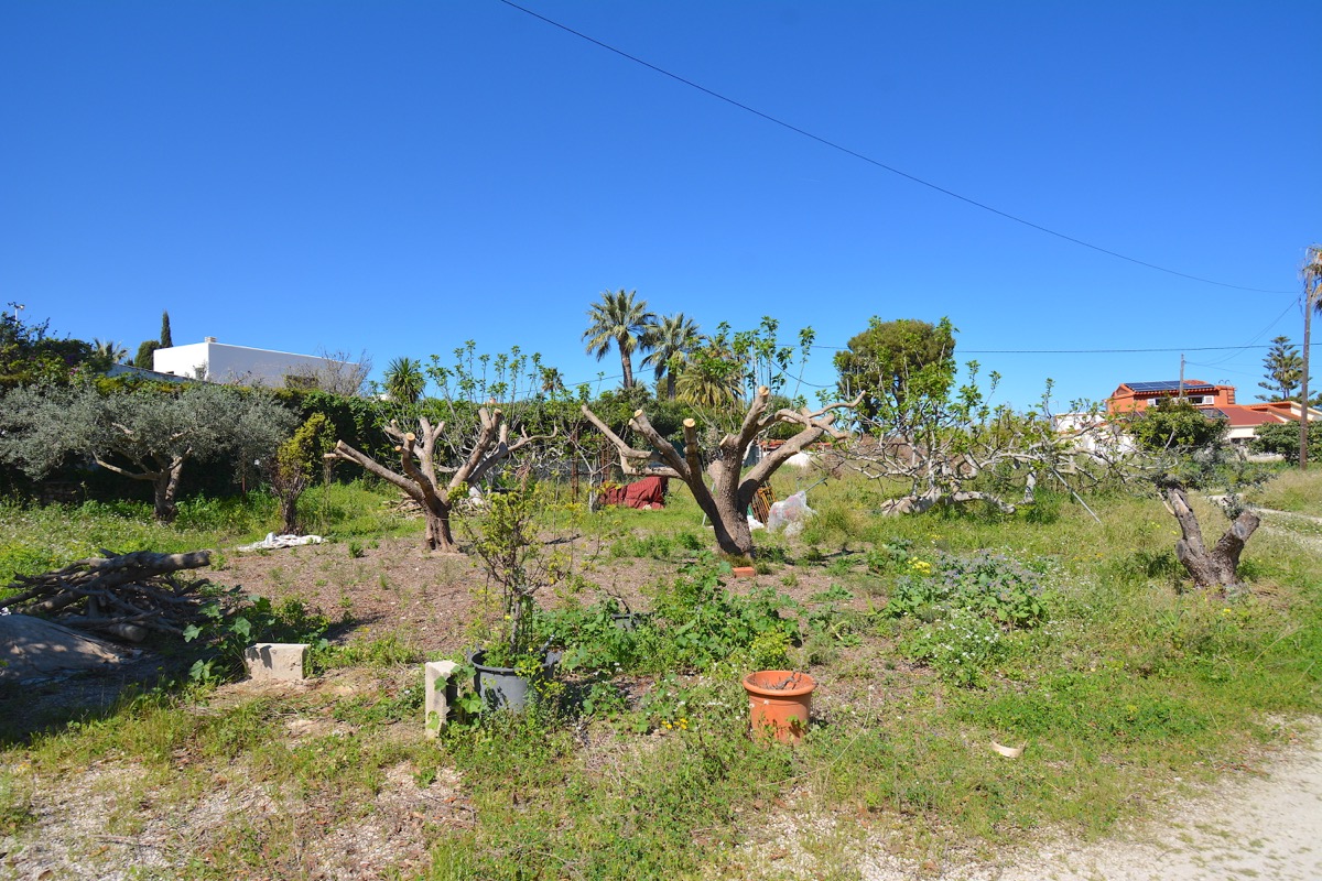 Sobre una parcela de 5.000m2 llanos nos encontramos con dos chalets y vistas al Montgó.