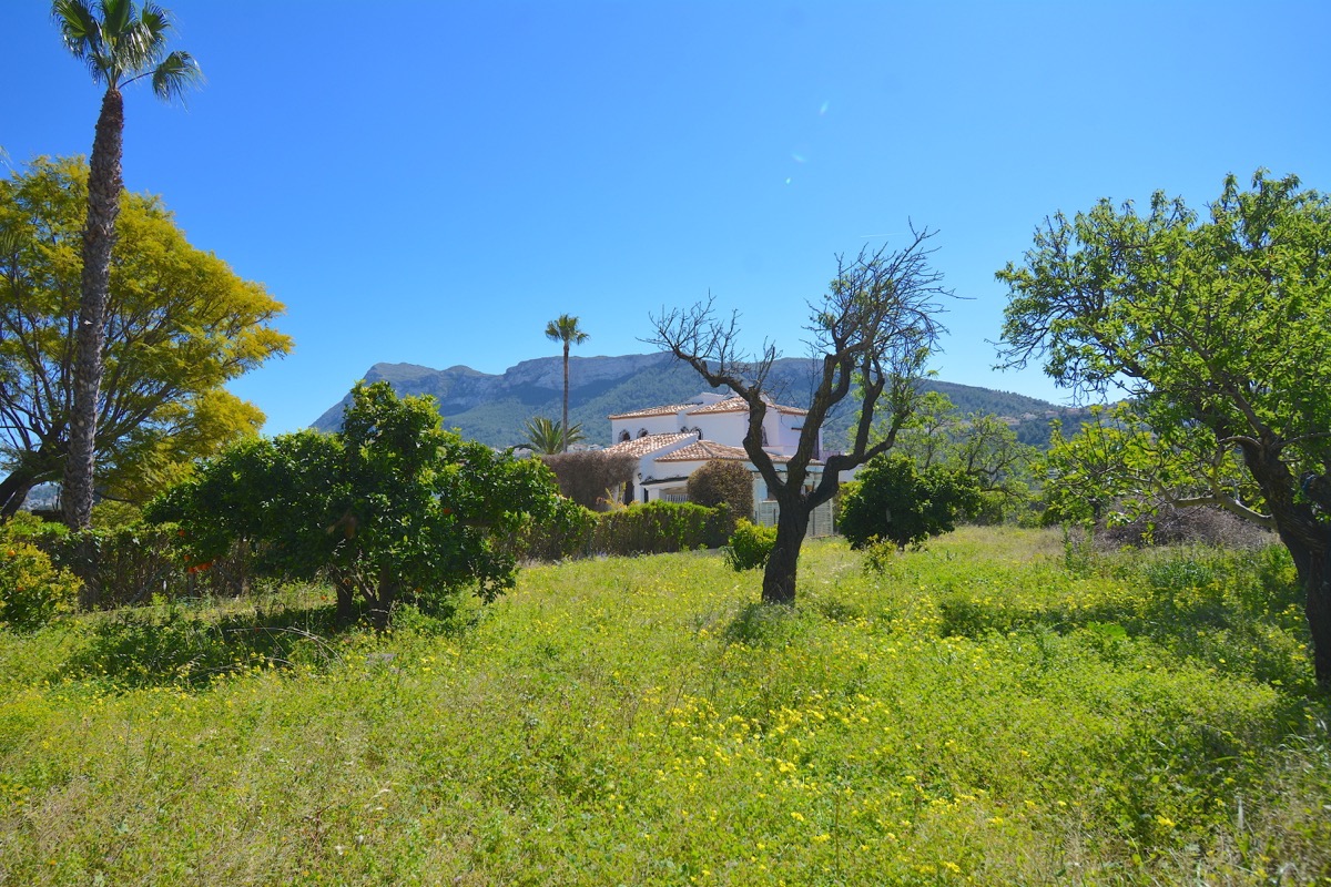 Sobre una parcela de 5.000m2 llanos nos encontramos con dos chalets y vistas al Montgó.