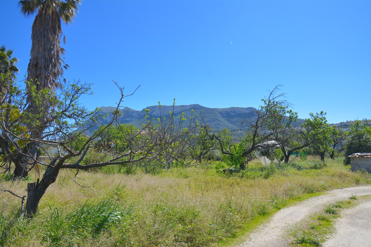 Sobre una parcela de 5.000m2 llanos nos encontramos con dos chalets y vistas al Montgó.