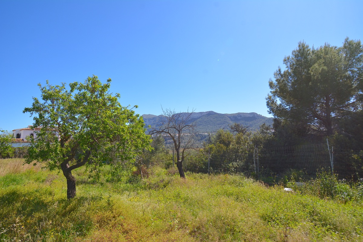 Sobre una parcela de 5.000m2 llanos nos encontramos con dos chalets y vistas al Montgó.