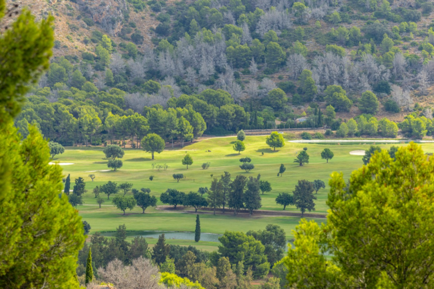 Exclusiva villa de lujo en venta en La Sella con unas vistas preciosas.