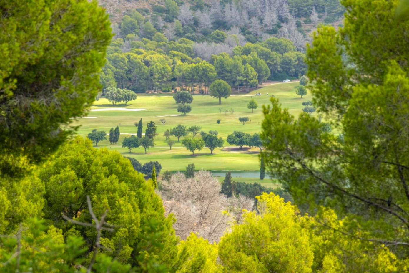 Exclusiva villa de lujo en venta en La Sella con unas vistas preciosas.