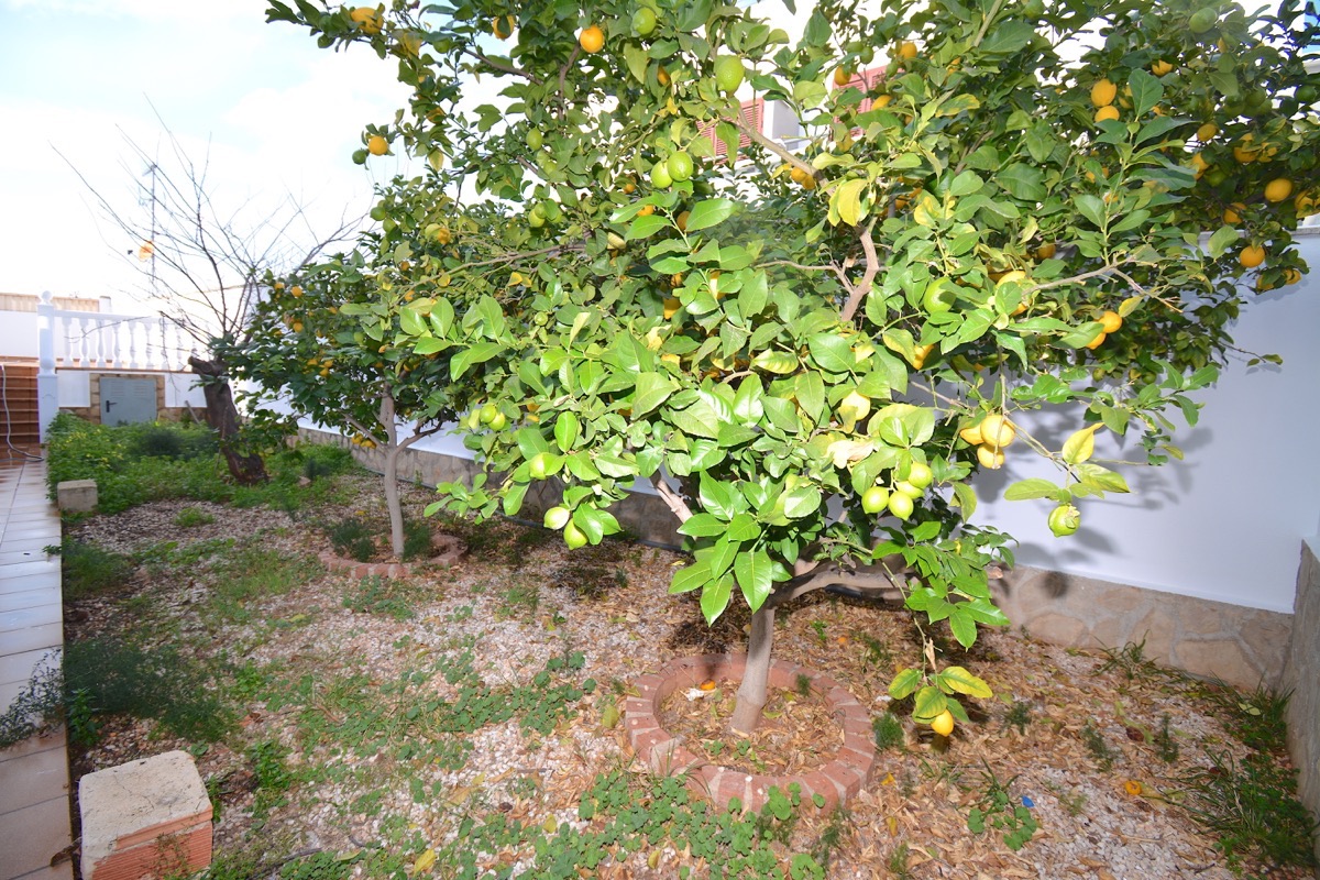 Chalet en venta en Denia muy cerca del centro