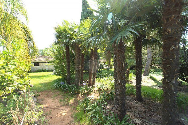 Maison de campagne à vente à Denia